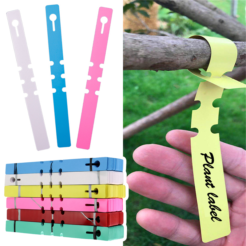 50pcs Waterproof Plant Markers - Gardening Tools Labeled ulasan dan harga