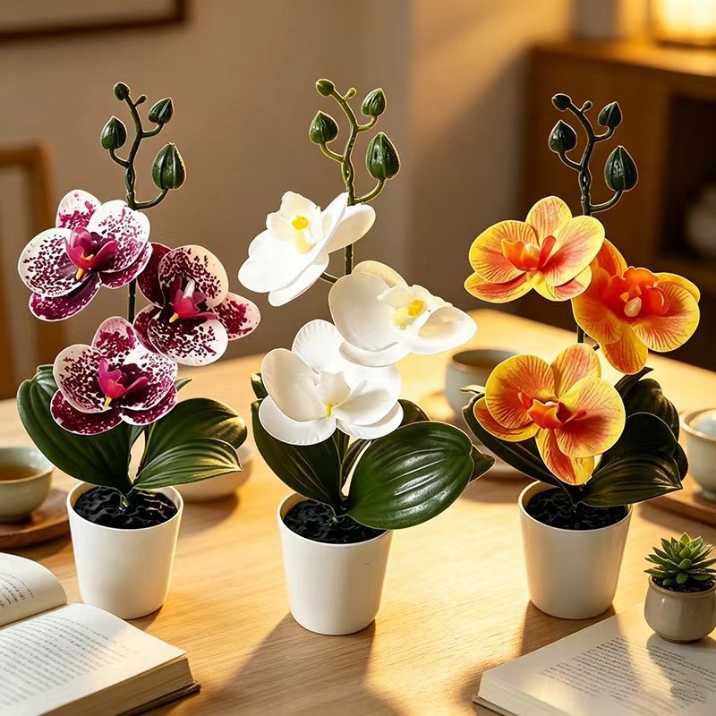 Mini Butterfly Orchid Potted P - Orchid Potting Mix ulasan dan harga