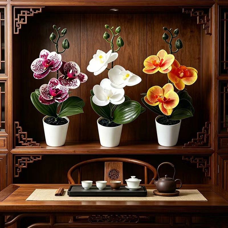 Mini Butterfly Orchid Potted P - Orchid Potting Mix ulasan dan harga