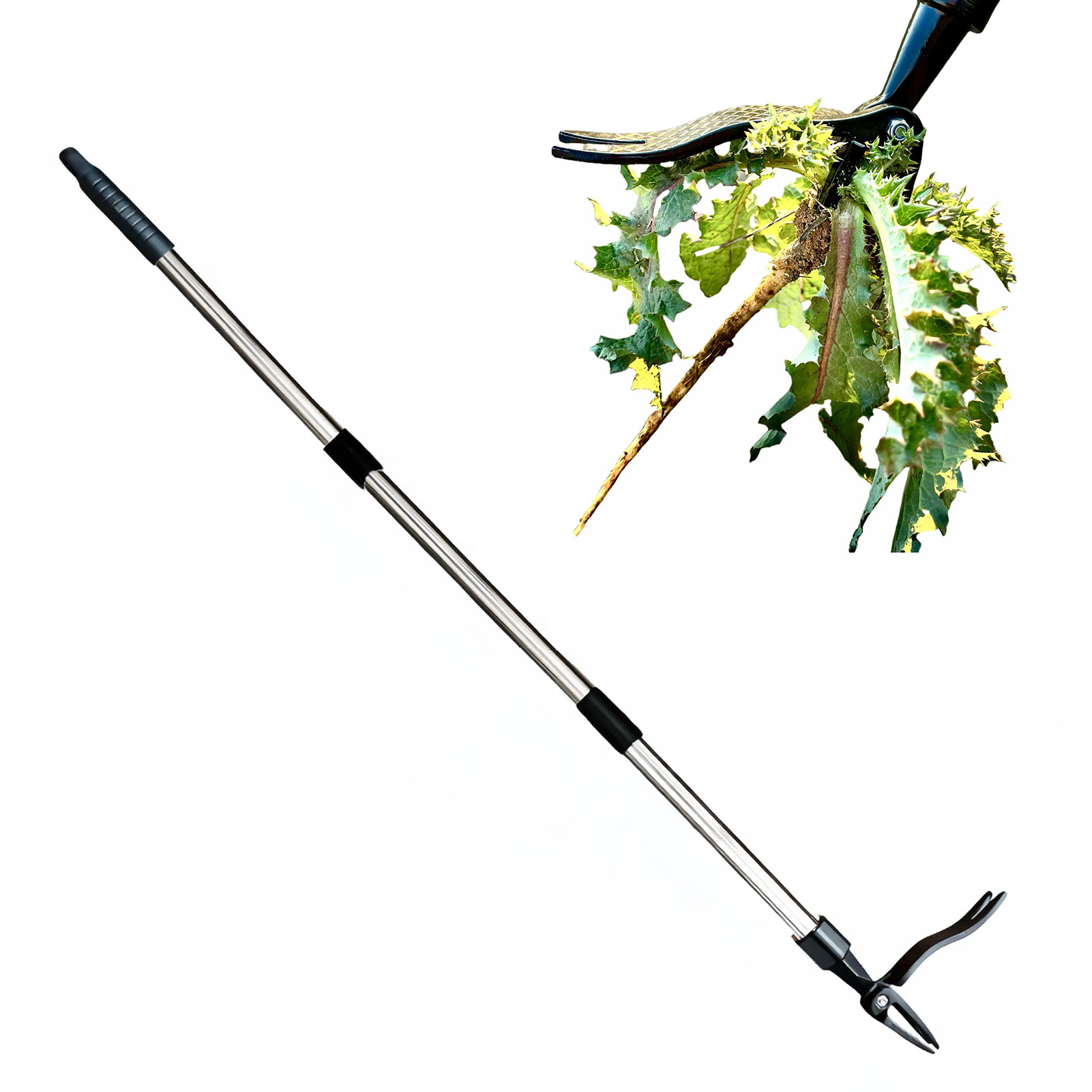 4 Claw Stand Up Weed Puller St - Gardening Tools On Sale ulasan dan harga
