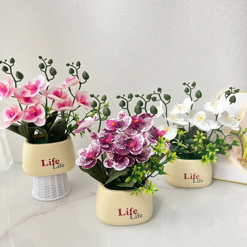 Elegant Nordic Style High-End  - Orchid Potting Mix ulasan dan harga