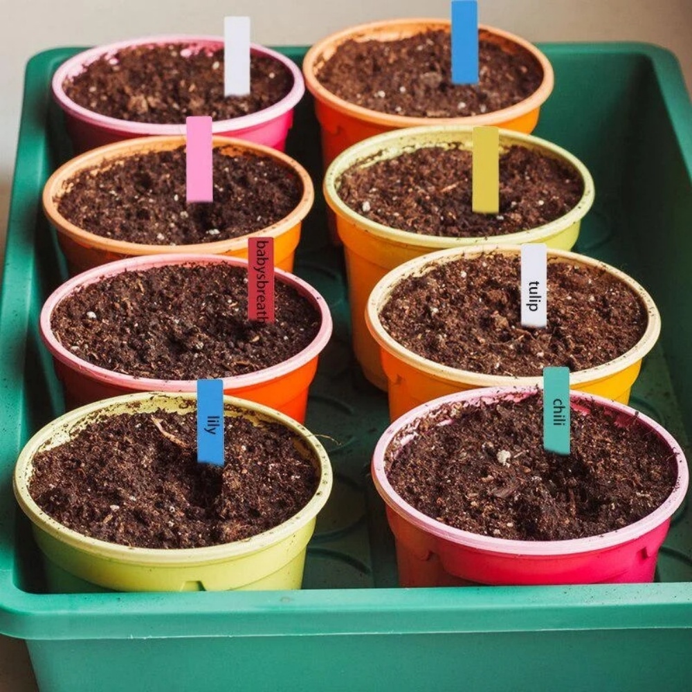 100PCS Garden Plant Labels Pla - Gardening Tools Labeled ulasan dan harga