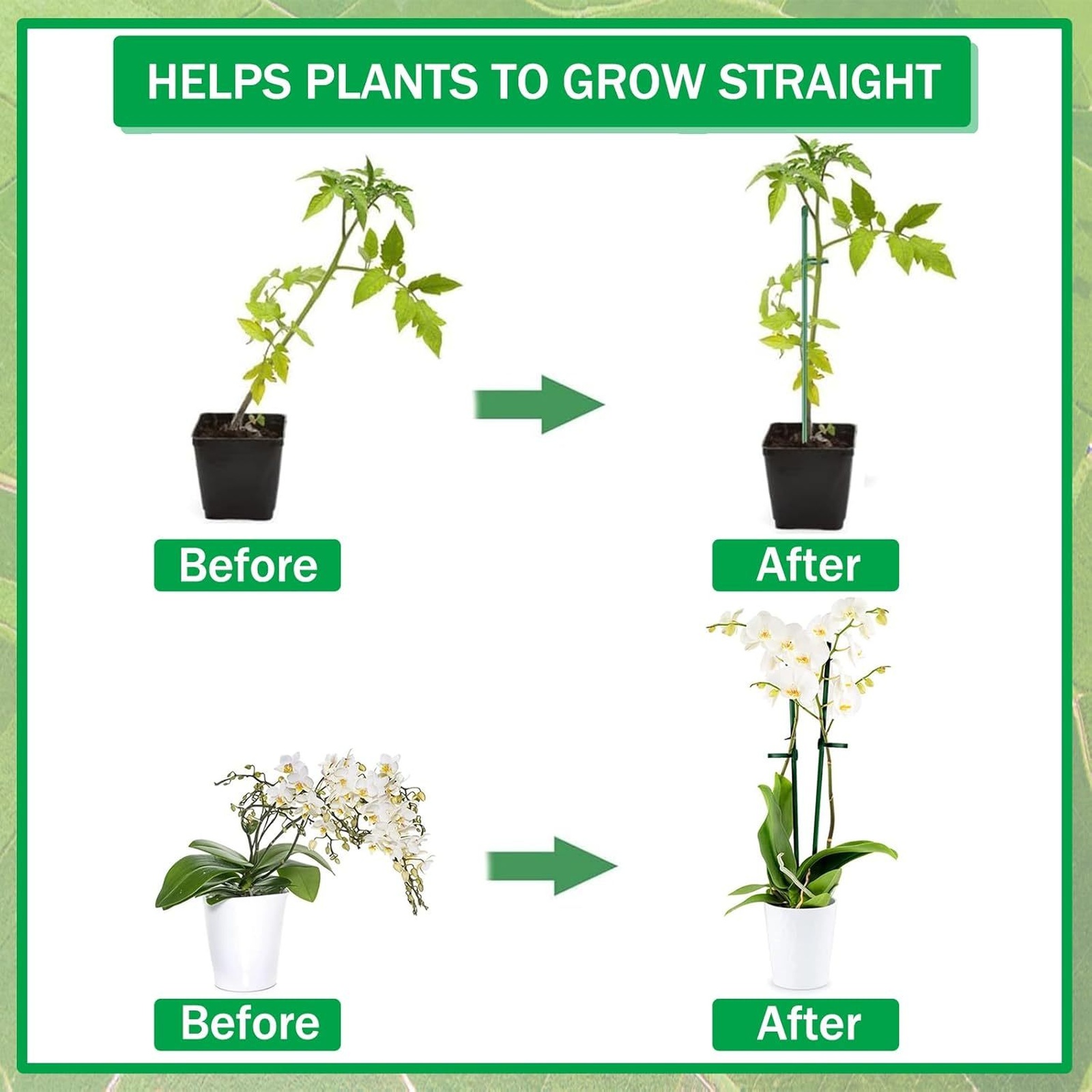 Plant Supports Rod Single Stem - Orchid Potting Mix ulasan dan harga