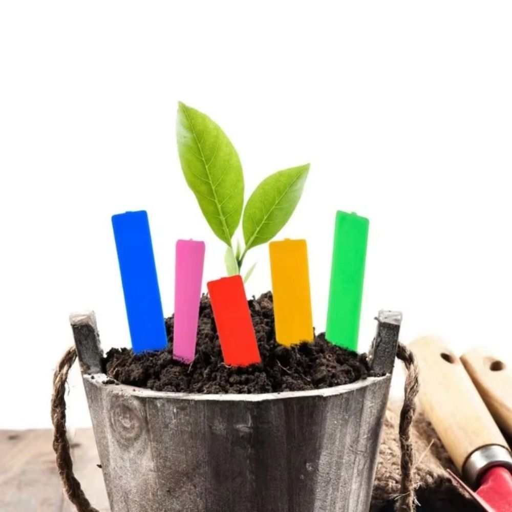 100Pcs Plastic Material Plant  - Gardening Tools Labeled ulasan dan harga