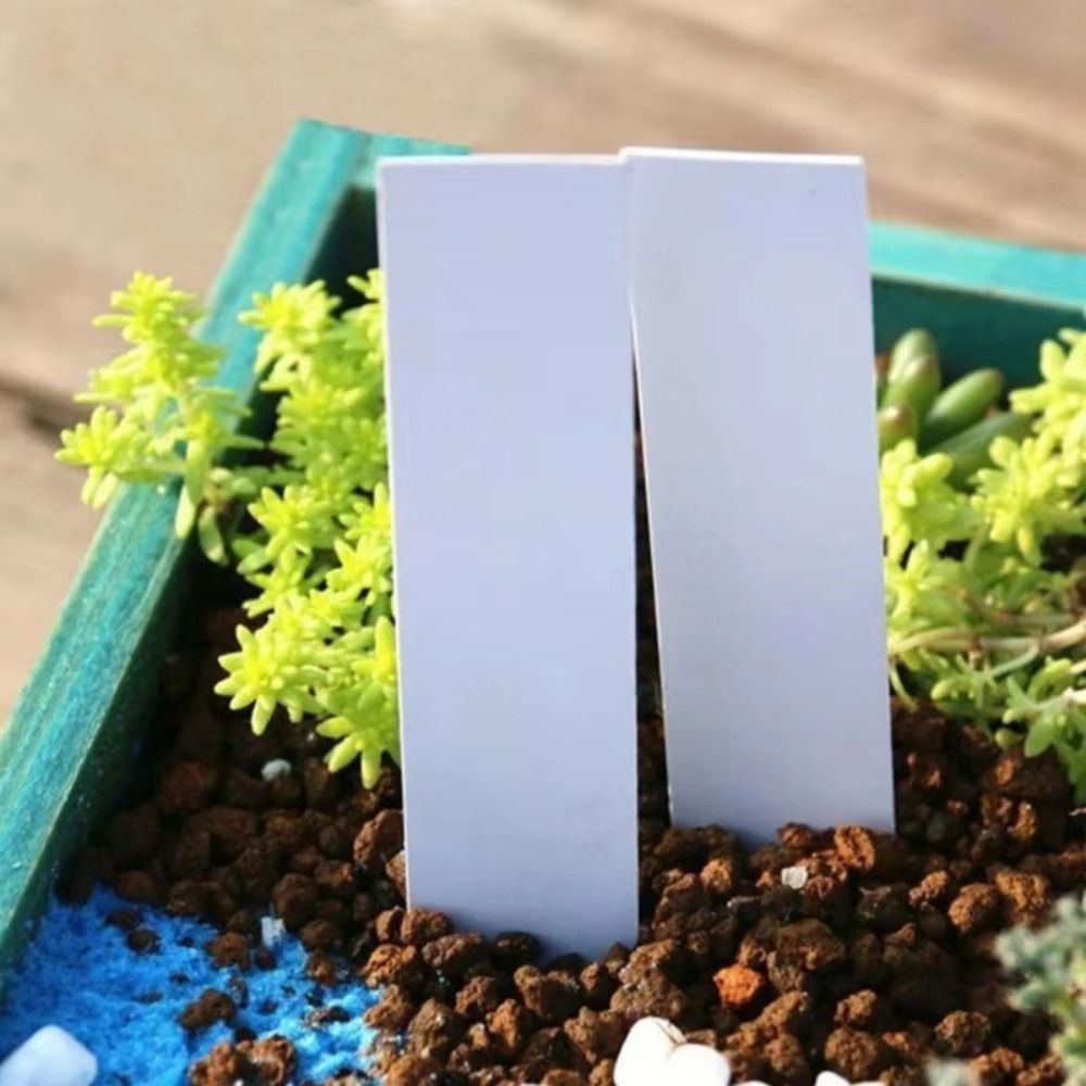 100Pcs Plastic Material Plant  - Gardening Tools Labeled ulasan dan harga