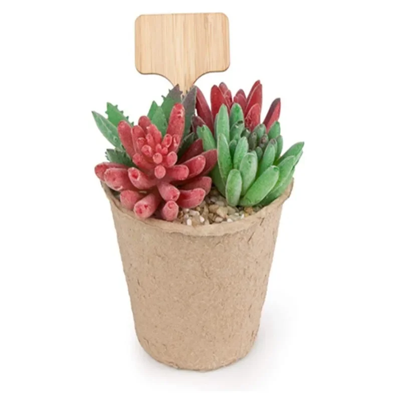 Garden Tags T-Type Bamboo Plan - Plant Label Tags ulasan dan harga