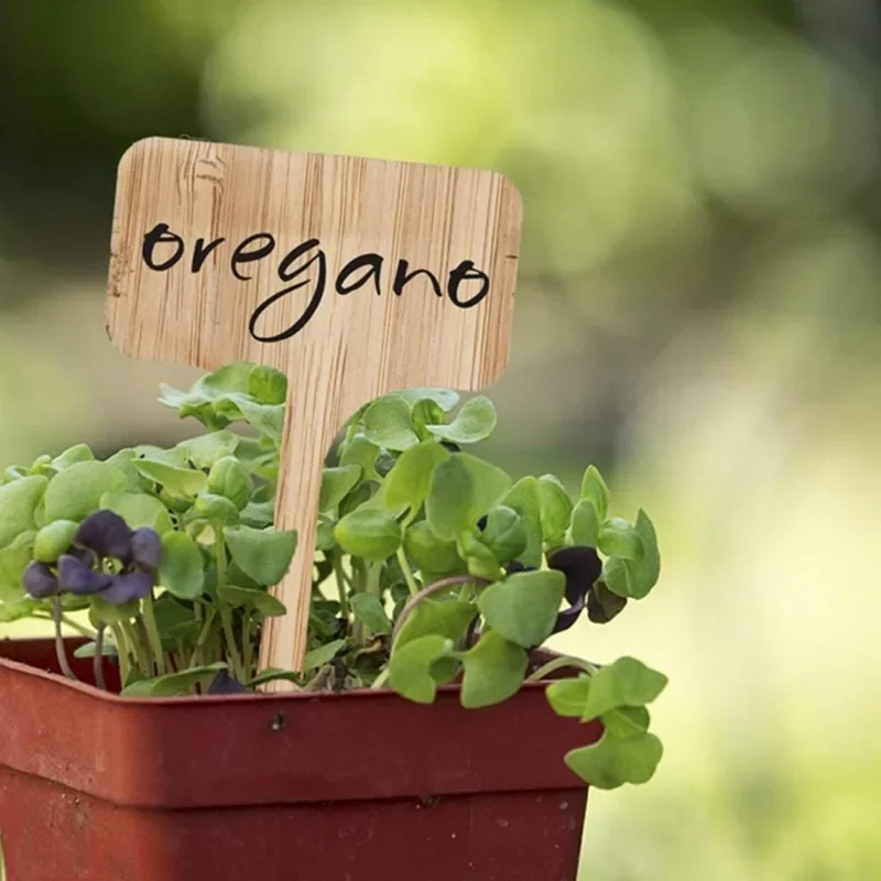 Garden Tags T-Type Bamboo Plan - Plant Label Tags ulasan dan harga