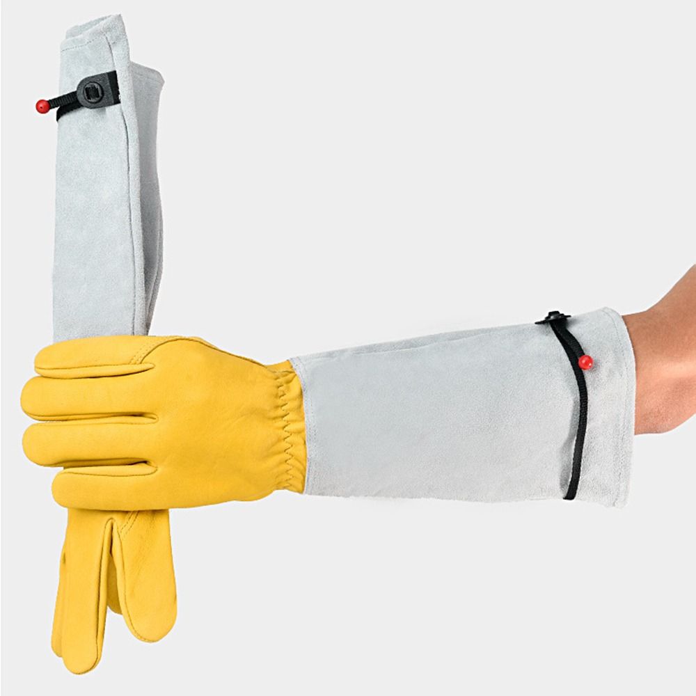 Long-sleeved Thorn Proof Garde - Garden Gloves Thorn Proof ulasan dan harga