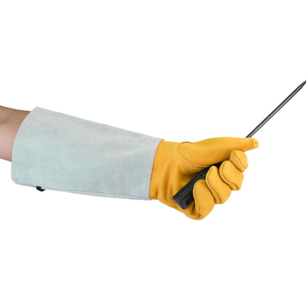Long-sleeved Thorn Proof Garde - Garden Gloves Thorn Proof ulasan dan harga
