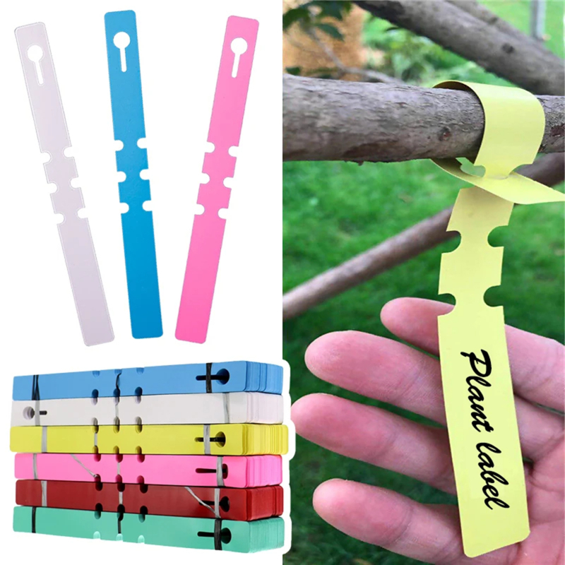 100-200pcs Waterproof Plant Ma - Gardening Tools Labeled ulasan dan harga