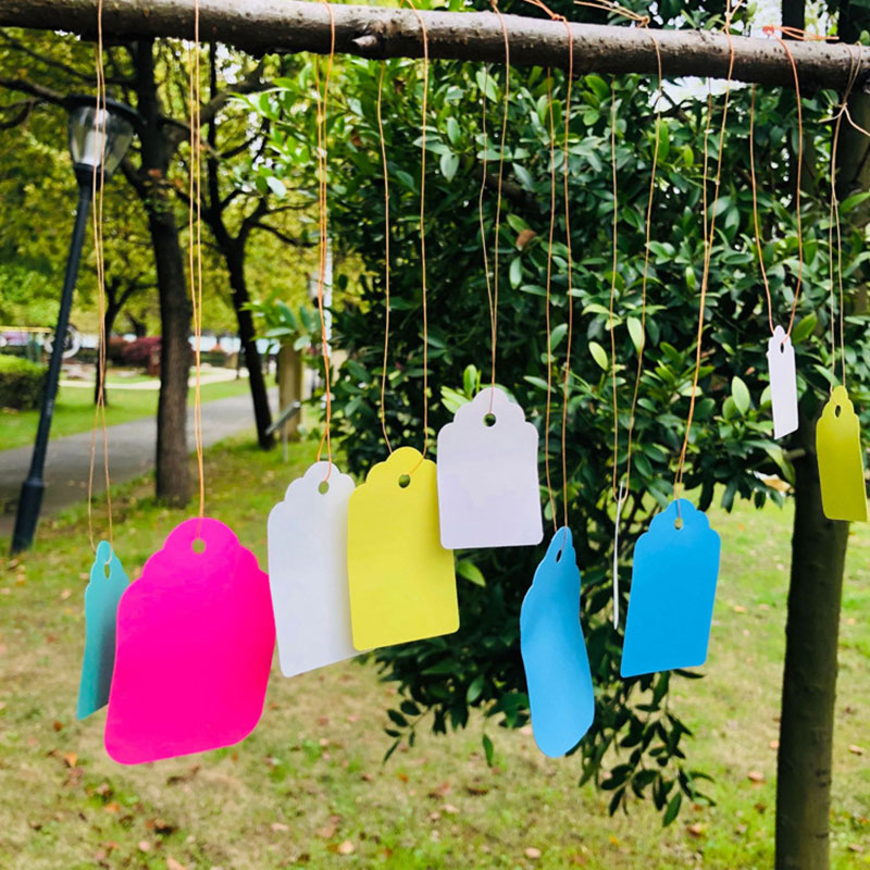 100pcs Plant Labels With Rope  - Gardening Tools Labeled ulasan dan harga