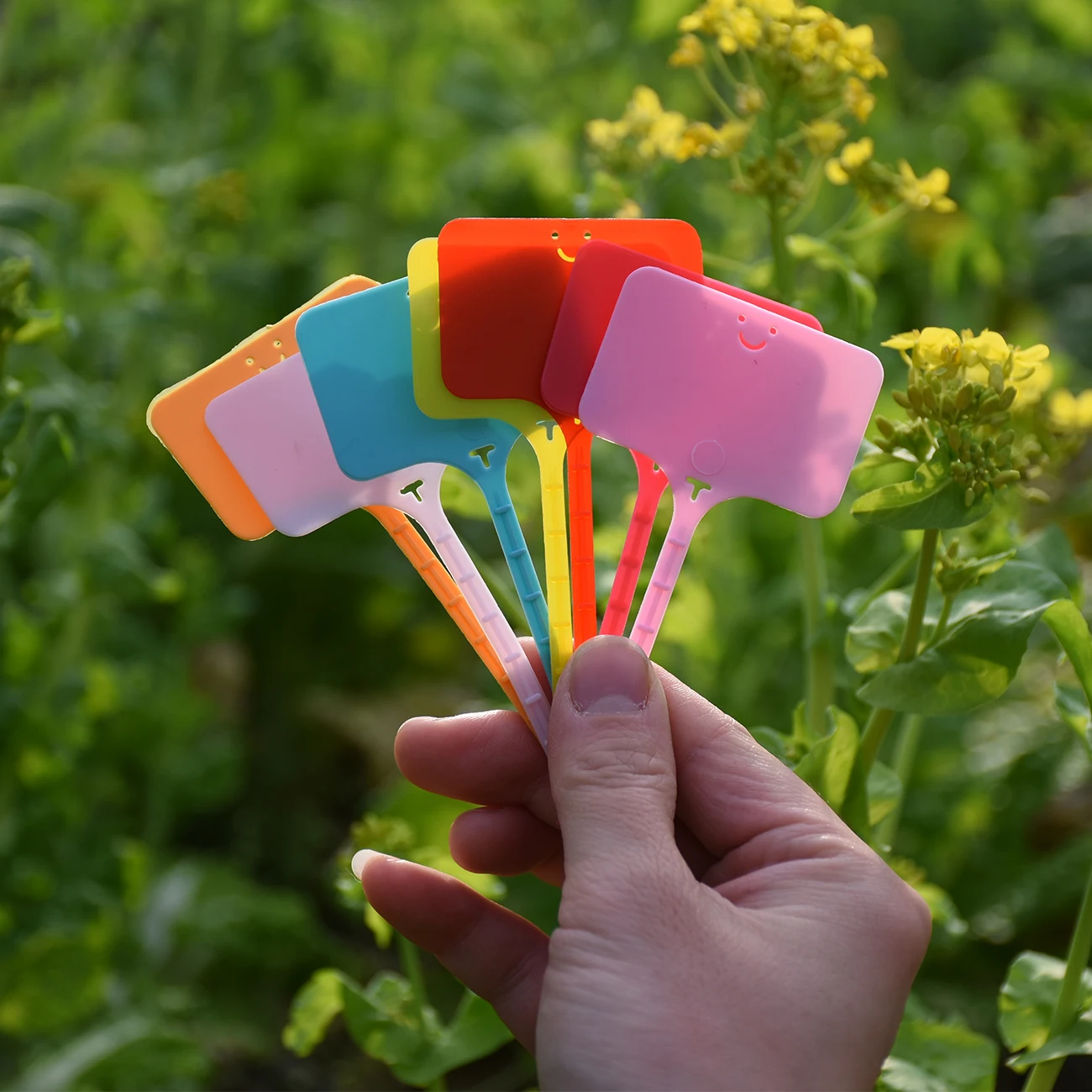 50PCS Waterproof Garden Plant  - Gardening Tools Labeled ulasan dan harga