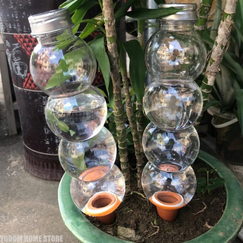 1Pc Creative Automatic Plant W - Gardening Tools For Home ulasan dan harga