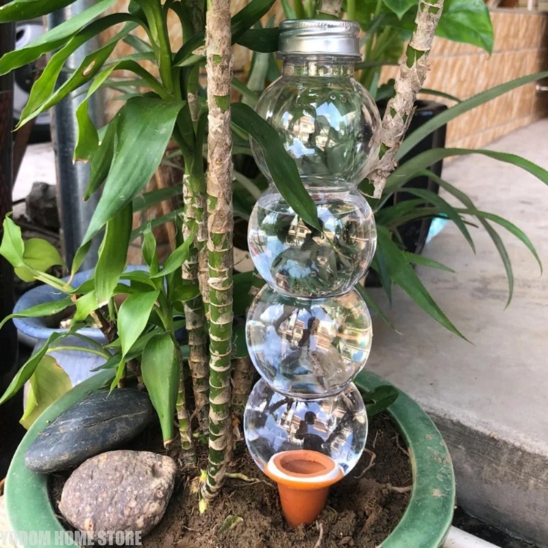 1Pc Creative Automatic Plant W - Gardening Tools For Home ulasan dan harga