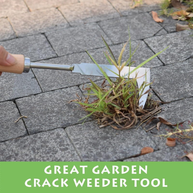 Stainless Steel Gap Weeding To - Gardening Tools On Sale ulasan dan harga