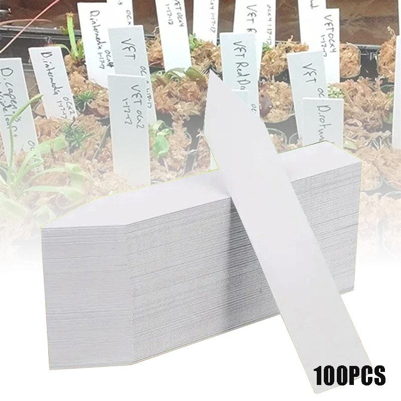 100pcs Garden Plant Labels Pla - Gardening Tools Labeled ulasan dan harga