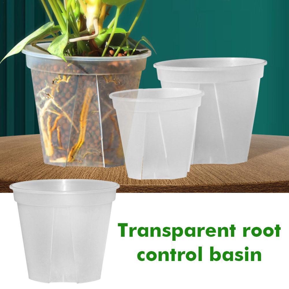 Transparent Plastic Pots Root  - Orchid Potting Mix ulasan dan harga