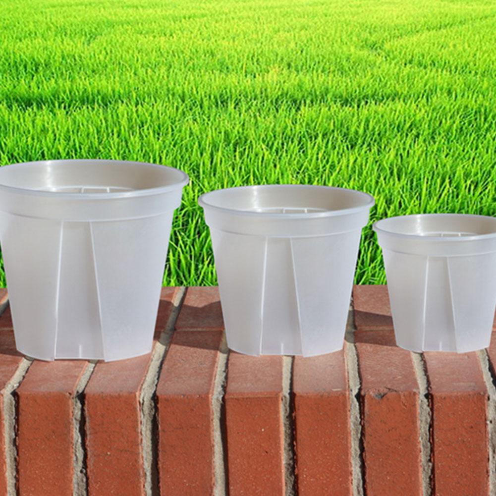 Transparent Plastic Pots Root  - Orchid Potting Mix ulasan dan harga