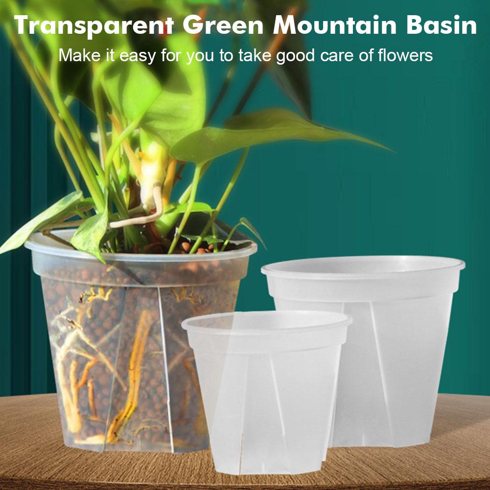 Transparent Plastic Pots Root  - Orchid Potting Mix ulasan dan harga