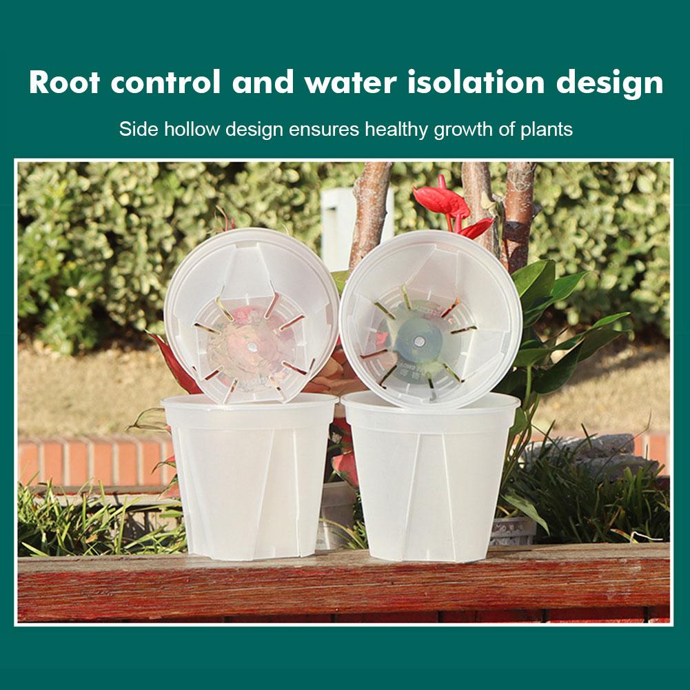 Transparent Plastic Pots Root  - Orchid Potting Mix ulasan dan harga